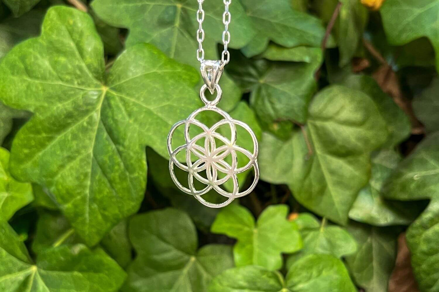 Colgante Semilla de la vida - Plata 950